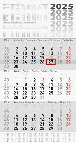 BRUNNEN 3-Monatskalender 2025 | grau, 300×560 mm