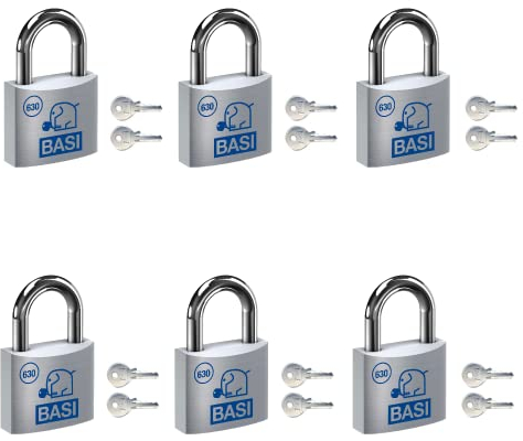 BASI | Vorhangschloss 6er Set | 50 mm | gleichschließend | massives Aluminium-Gehäuse | gehärteter Stahlbügel | sicheres Vorhängeschloss gleichsperrend | Bügelstärke 9 mm | 6 Stück