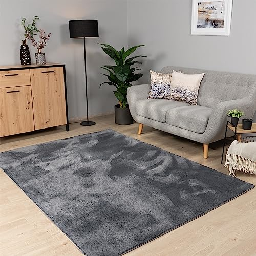 Paco Home Teppich Wohnzimmer Schlafzimmer Kurzflor Waschbar Einfarbiges Muster Flauschig Weich rutschfest Moderne Deko, Grösse:200x280 cm, Farbe:Anthrazit