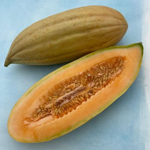 100 semi di banana e melone