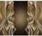 decomonkey Fototapete Abstrakt 400x280 cm XXL Design Tapete Fototapeten Tapeten Wandtapete moderne Wand Schlafzimmer Wohnzimmer Abstraktion en Braun Schwarz