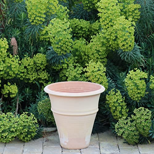 Palatina Werkstatt Pot de fleurs Yucca en terre cuite, 35 cm, 100 % fabriqué à la main, unique, décorez votre maison avec le pot de fleurs résistant à l'hiver pour l'intérieur et l'extérieur