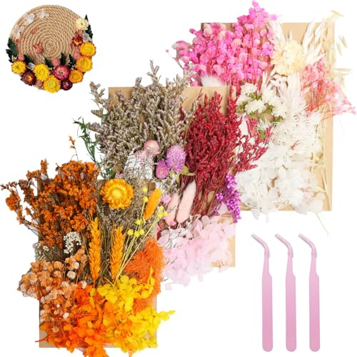 Real Dried Flowers for Resin 3 Pack, Natural Pressed Flowers | Natural mixed dried flower pack with tweezers for DIY resin crafts, jewelry & candles(Multicolor White Orange).
