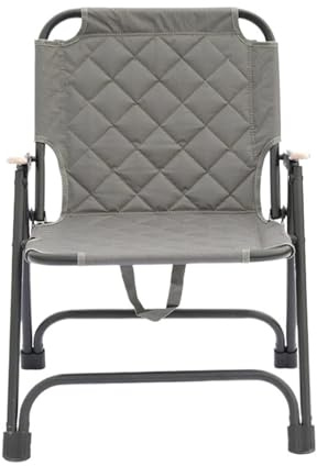 OPIGJUFD Silla de Director Plegable Silla de Playa Plegable for Pesca, Camping, Ligera, Acero y Metal, for Exteriores, (Grey)