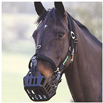 Shires Greenguard Halfter