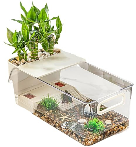 Cage Pour Poissons Et Tortues – Enceinte Transparente En PC, Scène De Repos Surélevée, Aquarium Pour Petits Animaux De Compagnie, Réservoir Pour Amphibiens Et Reptiles, Accessoire Multi-animaux Pour L