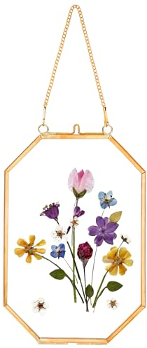 REDHUGO Pressed Flower Frames, Glass Floating Frames for Display Dried Plant Specimen Picture, Hanging Brass Photo Frame with Chain, Double Clear Glass, Vintage Wall Decor, Octagon