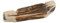 Eurohunt Hundepfeife Hirschhorn ca. 7cm Triller und Pfiff