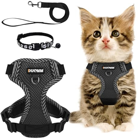 Katzengeschirr Mit Leine Set, Verstellbar Ausbruchsicher Mit Reflektierendem Geschirr, Atmungsaktives Halsband Set für Hunde Und Katzen Auf Spaziergängen (L)