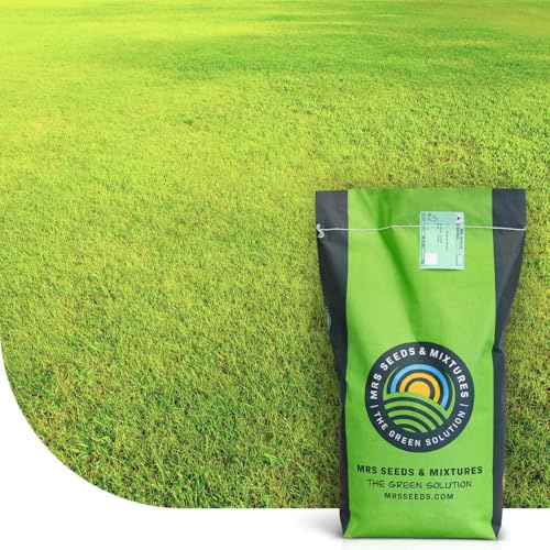 MRS Dry & Strong: Semences de gazon pour terrains secs - 2 kg pour 100 m² - Résiste à la chaleur et à la sécheresse - Économique en arrosage
