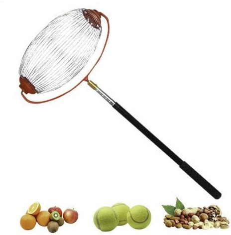 Ramasse Noix Avec Manche, Cueille Fruit Telescopique, Rouleau Ramasse Noix Acier Inoxydable, Ramasses Pomme Au Sol, Collecteur De Noixs, Outils Jardinage Pour Glands, Pécan, Châtaigne(Grand)