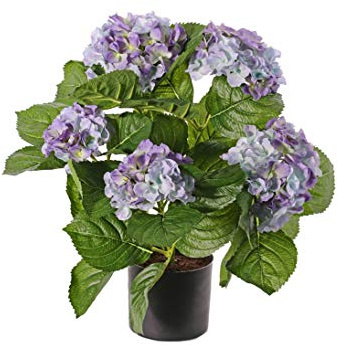 Hortensior, konstblomma med blåfärgade blommor, höjd 55 cm – konstgjorda blommor och växter konstgjorda blommor växter konst Kunsblumen