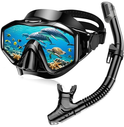 Snorkel Set Adults, Anti-Fog Panoramic Scuba Snorkelling Packages with Dry-Top Snorkel & Swimming Goggles for Diving, Swimming & Snorkeling