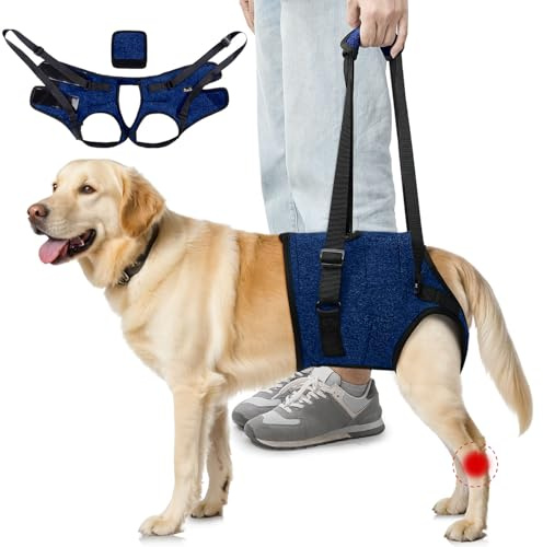 SlowTon Imbracatura di supporto per zampe posteriori Imbracatura per cani di taglia media - Comoda imbracatura di sollevamento per cani regolabile per anziani feriti Artritici disabili (Blu, L)