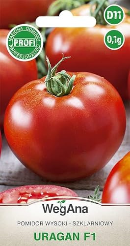 WegAna Pomodoro Uragan Ibrido F1 0,1g Semi Semi di Pomodoro Semi di Ortaggi Robusti, Semi di Ortaggi Semi di Coltivazione per Orto in Serra