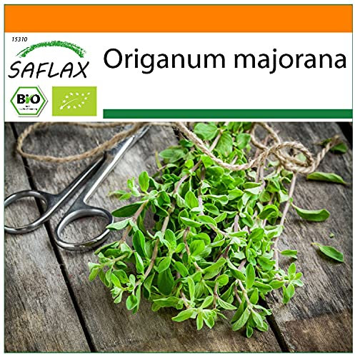 SAFLAX - Jardin dans le sac - BIO - Marjolaine - 700 graines - Avec substrat de culture dans un sac de levage facile à manipuler. - Origanum majorana