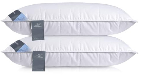 D & G THE DUCK AND GOOSE CO Natural Feather & Down Pillow – Luxury Sleeping Pillow with Downproof Dual-Layer Cover, Medium-Soft Density Support for Back & Side Sleepers (Pack of 1, 19x29 inches)