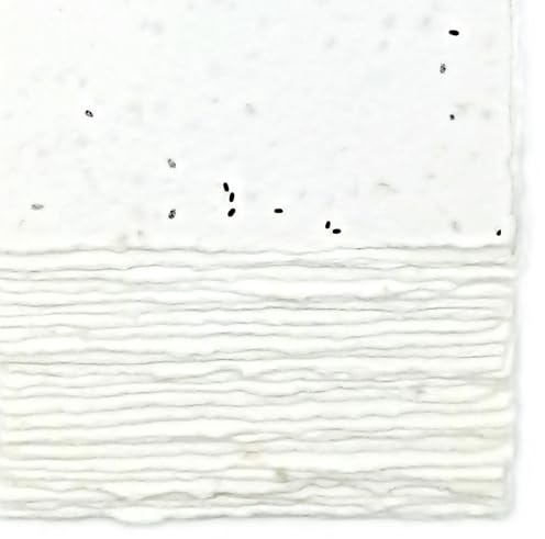 Biglietti/Partecipazioni/Inviti in Carta Piantabile Fatta a Mano, 13x18 cm, 300 g/m2, Confezione da 25, Made in Italy (Con Semi di Lavanda)