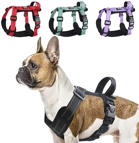 LiebeDD Hundegeschirr Schwarz L - Brustgeschirr Hund Mittel Reflektierend Anti Zieh Hunde Geschirr Hund Zuggeschirr Gepolstert mit Griff Dog Harness für Welpen Kleine und Mittelgroße Hunde