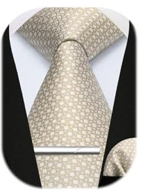 Enlision Krawatten für Herren Karierte Krawatte und Einstecktuch krawattenklammer Set Einfarbige Krawatte Champagner Taschentuch Krawattennadel Für Männer Hochzeit Business,Champagner