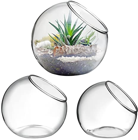 Mipcase Jarrones Cristal para Terrarios: 3 Jarrones Cristal Transparente Cuenco Burbujas Cristal Transparente Jarrones Esféricos para Decoración Centros Mesa del Hogar