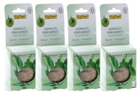 Top Filter 9929150 - Lot de 16 Sachets de Parfum pour Aspirateur Odeur Menthe/Eucalyptus, Désodorisant, Rafle de Maïs, Vert