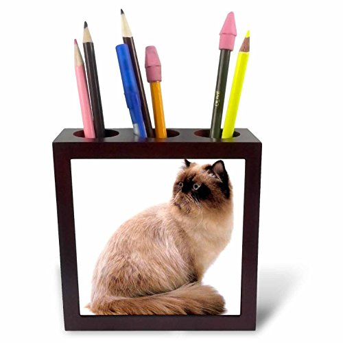 3dRose LLC Himalayan 5-Inch Tile Pen Holder