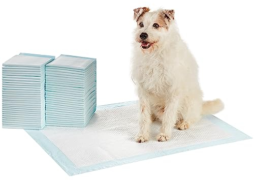 Amazon Basics Trainingspads für Hunde und Welpen, auslaufsicheres 5-lagiges Design mit schnell trocknender Oberfläche, XL (60 Stück), Blau