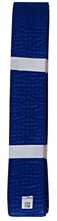 lisaro kampsportbälte Karate Judo Taekwondo Ju Jutsu BJJ bälte storlek 160–300 cm (blå, 300)