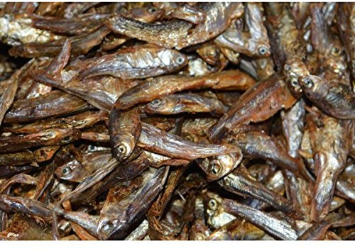 Zierfischtreff.de Getrocknete Fische Hundesnack, Katzensnack, 1 kg