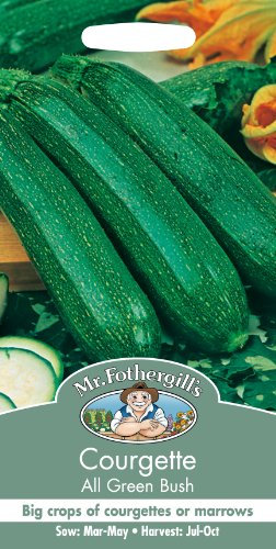 Mr Fothergill's 13452 Vegetable Seeds, COURGETTE All Green Bush