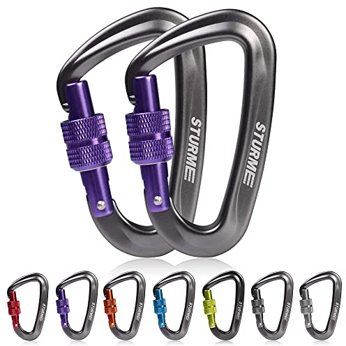 Karabiner, karabinerhaken groß mit Schlüsselanhänger, 12 KN(1223kg) zum Sichern von Haustieren, schaukel,Outdoor, Camping,Wandern, Hängematte, Hundeleinengeschirr, Schlüsselanhänger, 2 Stück