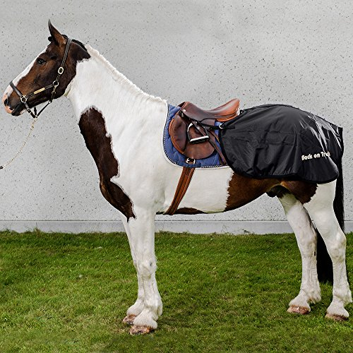 Nierendecke Back on Track