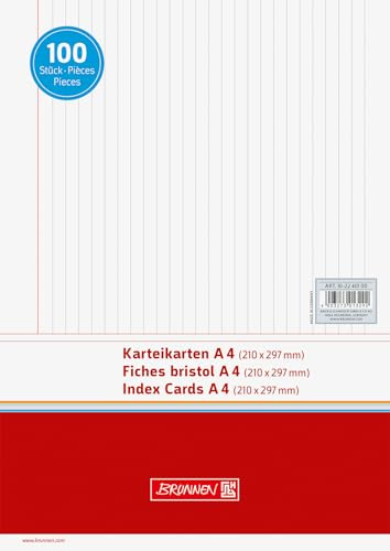 Brunnen 102240100 indexkort (A4 linjerat, 100 stycken, svetsad, vit