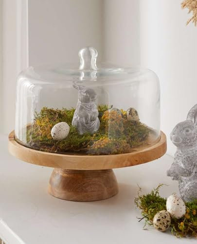 Dekoleidenschaft Plateau de service rond en bois de manguier avec couvercle en verre, cloche à fromage, assiette en bois avec cloche en verre, plateau de service