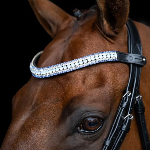 Imperial Riding Cinghia Frontale IRH Maxima, Fascia in Pelle con Strass in Vetro e Chiusura a Penna, Azzurro/Blu COB