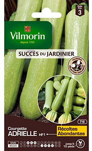 Vilmorin - Sachet graines Courgette ADRIELLE HF1