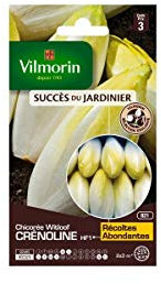 Vilmorin - Sachet graines Chicorée Witloof Crenoline HF1