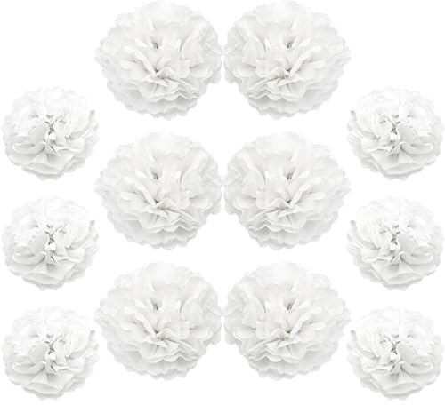Ruidee 12 pompon di carta velina da 25,4 cm e 30,5 cm, decorazioni floreali da appendere - palline di carta per feste e matrimoni (ZH/Bianco)