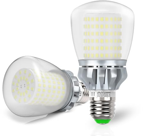 JIUYUAN Lampadina LED E27, 27W (Equivalenti a 250W) 6000K Luce Bianco Freddo 3760 Lumen, Lampadine E27 LED A60, Angolo del Fascio di 360 Gradi, Non Dimmerabile, Lampada LED, Pacco da 2