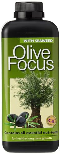 Olive Focus Liquid Fertiliser with Seaweed Concentrated 1L – Feed for Olive Trees in Pots, Conservatories & Greenhouses – Promotes Long-Term Fertility, Root Health, and Fruit Development