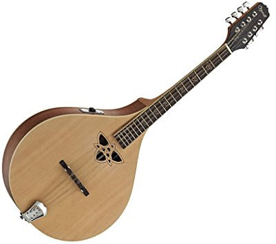 Ozark Octave pour mandoline celtique Modèle électrique avec housse