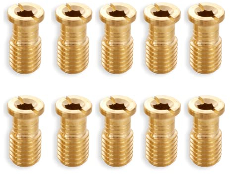 10 Pack Pool Cover Brass Anchor Head Screw Bolt for Pool Cover Anchors for Concrete and Pavers