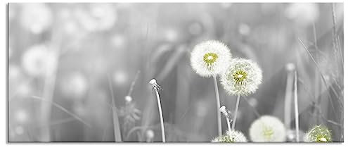 Pixxprint Glasbild Panorama, Wandbild aus Echtglas, wunderschöne Pusteblumen, 120x50 cm, inkl. Aufhängung und Abstandshalter