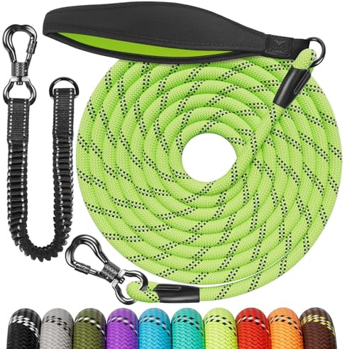 Aystkniet Schleppleine 5M für Hunde, Hundeleine mit Abnehmbare Elastische Kordel | Abschließbarer Haken | Gepolsterter Griff, Lange Laufleine Trainingsleine für Mittlere und Große Hunde