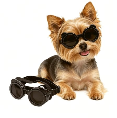 NAMSAN Gafas de sol para perros de raza pequeña, protección UV para perros pequeños, protección ocular para perros al aire libre, antivaho, antipolvo, resistente al viento, a prueba de nieve, correas