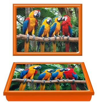 Lap Tray with Bean Bag Cushion Padded Scarlet Macaw Parrots Love Design Dinner Serving Laptop Holder Breakfast in Bed Serving Laptray Dinner Lunch Caravan Camping Camper Van Motivational Learning