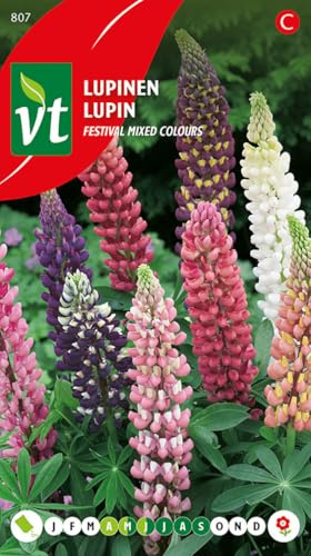 Arborix graines de fleurs