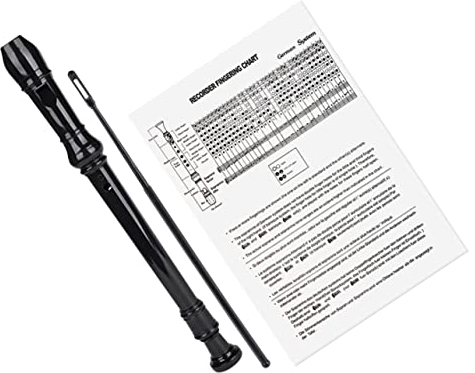 BESTonZON 8loch Dur Abs Blockflöte Für Anfänger Reinigungsstab Und Anleitung Für Musikliebhaber Und Traditionelles Blasinstrument Schwarz