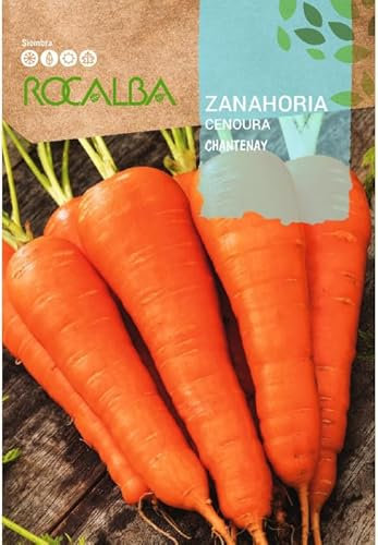 Semillas Zanahoria Chantenay